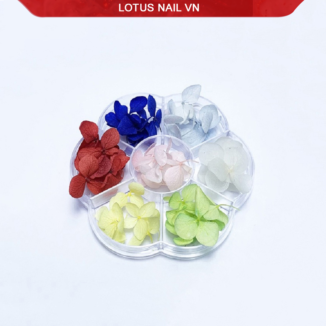 Hoa khô nail, hoa khô lụa tú cầu trang trí móng khay 7 màu