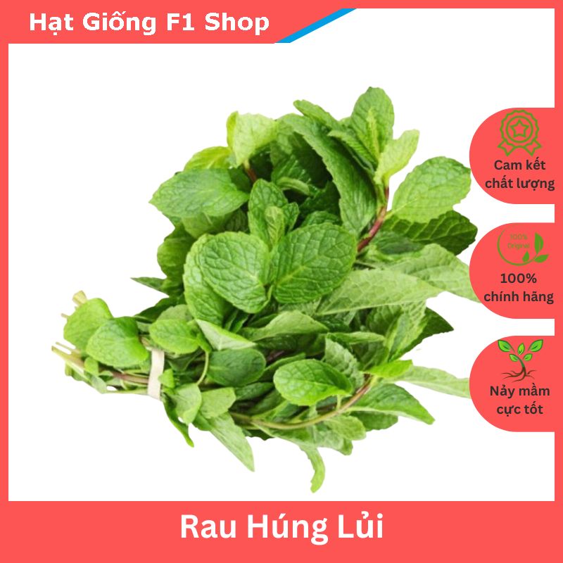 Hạt Giống Rau Húng Lủi (0.2 Gam)