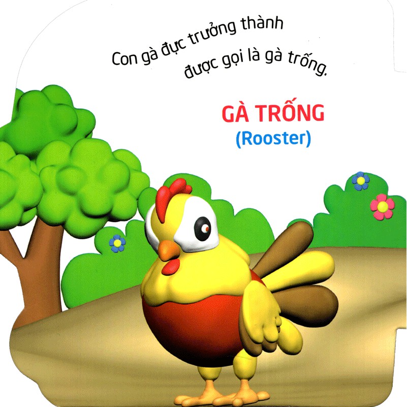Sách: Thế Giới Trong Mắt Em - Chim