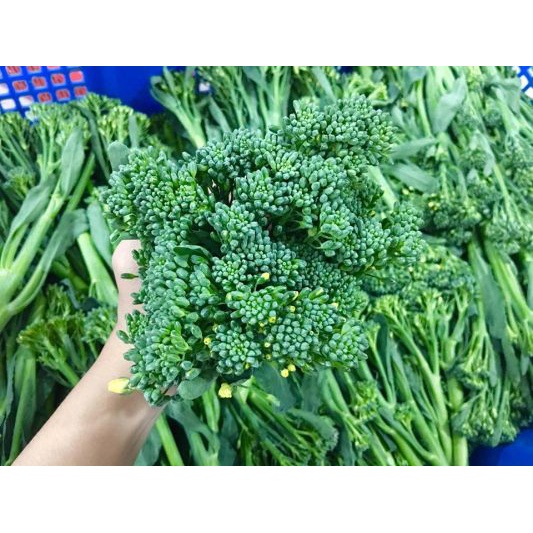 HẠT GIỐNG BÔNG CẢI XANH MINI - GÓI 1 GRAM