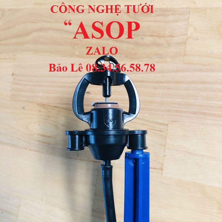50 CÂY CẮM BÉC TƯỚI ASOP 43CM