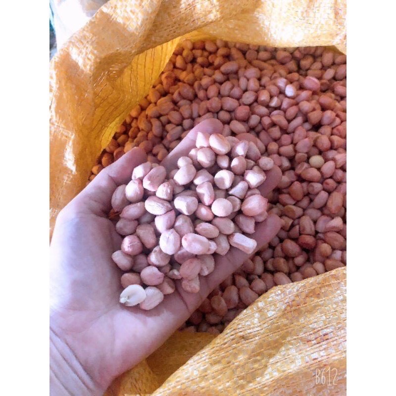[HCM]Đậu phộng sống (lạc sống) 1kg