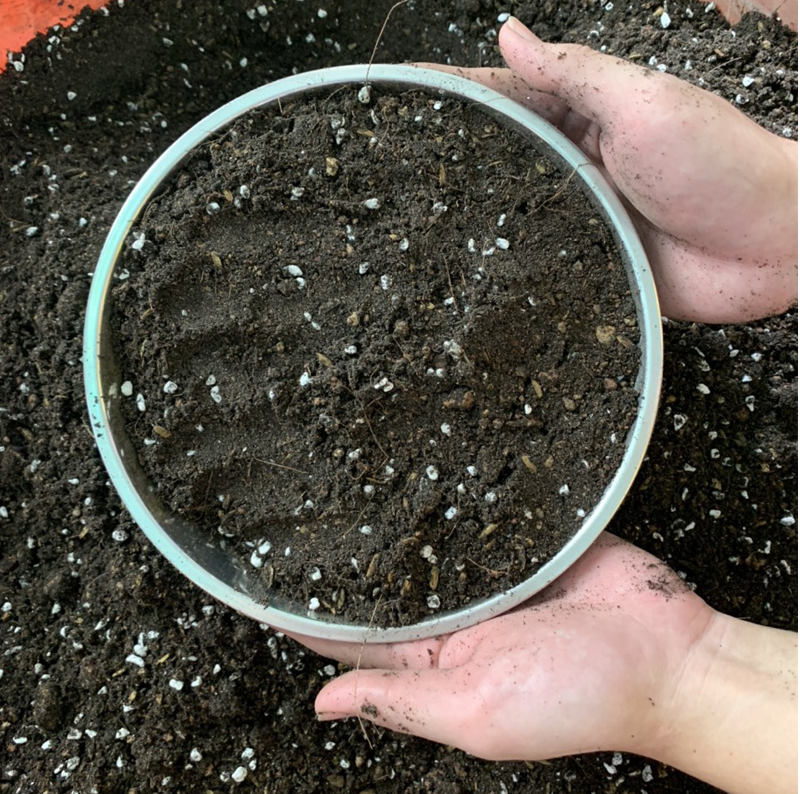 Đất Trồng sen đá xương rồng (túi 500gram)
