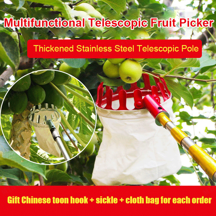 Highaltitude Harvesting Tool for Picking Loquat Mango Chinese Toon and Persimmon