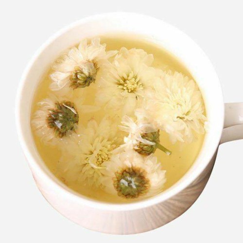 Hoa cúc trắng - Bạch cúc - LOẠI CAO CẤP HỮU CƠ