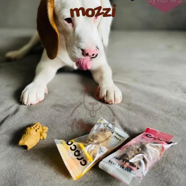 Snack cho chó Crocgy Cá sấu gặm sạch răng Thái Lan