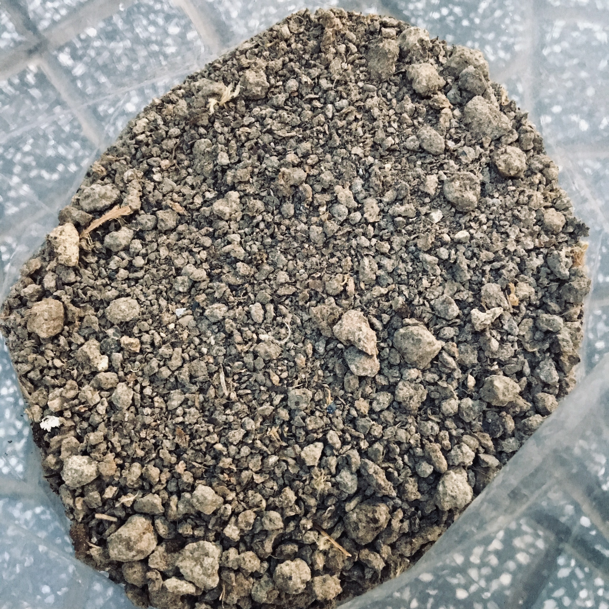 1kg PHÂN GÀ NHẬT BẢN HỮU CƠ 100% LÀM TỪ PHÂN GÀ