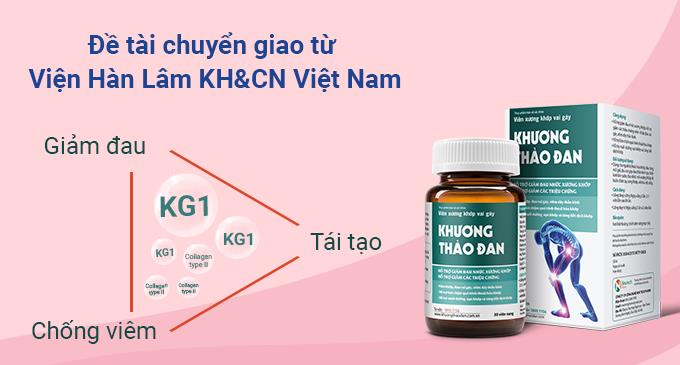 Khương Thảo Đan Hộp 30 viên