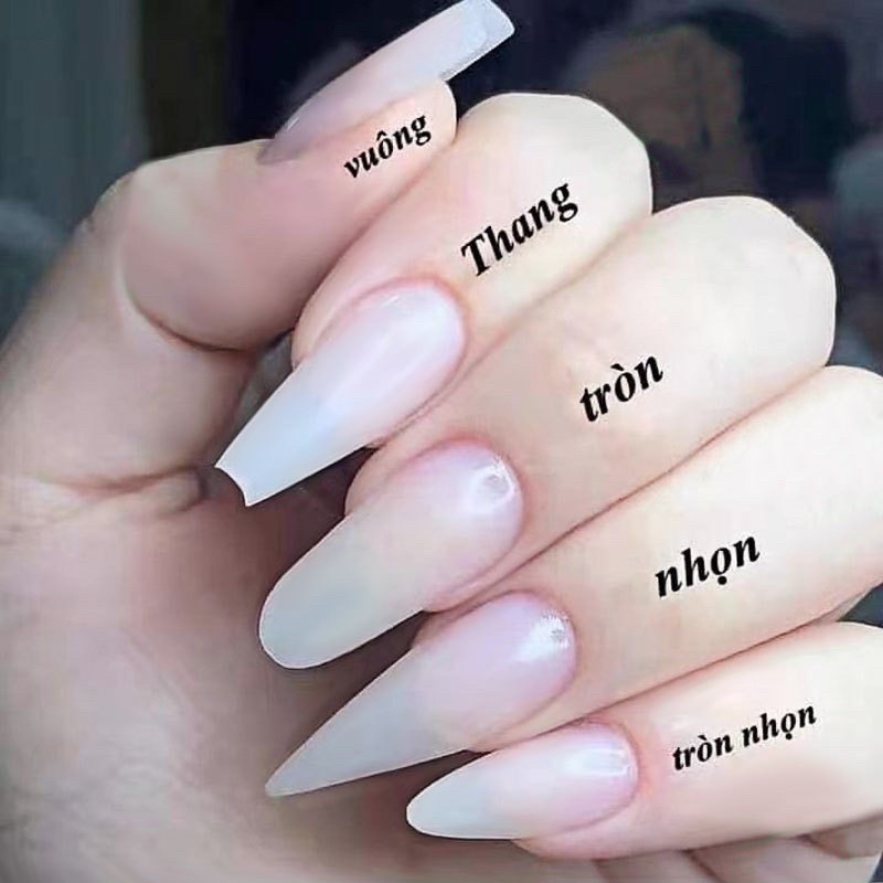 móng nối với úp bịch