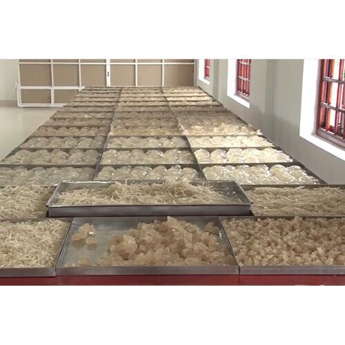 [2kg] Mủ trôm loại tròn