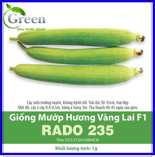 Hạt Giống Mướp Hương Vàng Lai F1