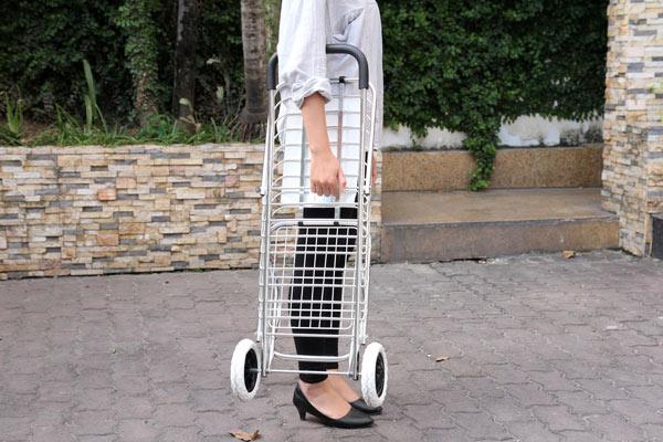 [HCM]Xe kéo đi chợ đa năng ADVINDEQ TL-90C