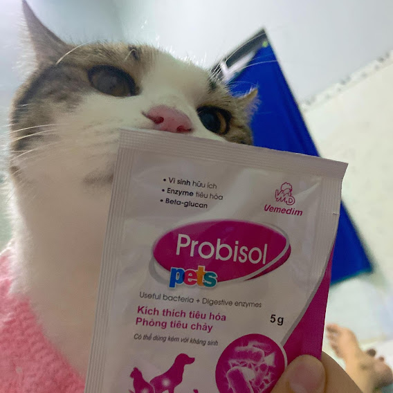Combo Men Tiêu Hóa Probisol Pets Cho Chó Mèo Gói 5g