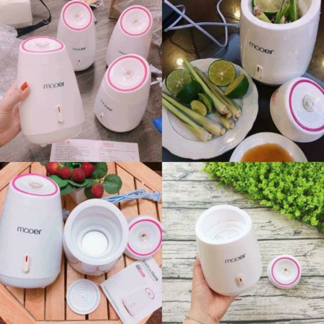 Máy xông mặt hoa quả Maoer