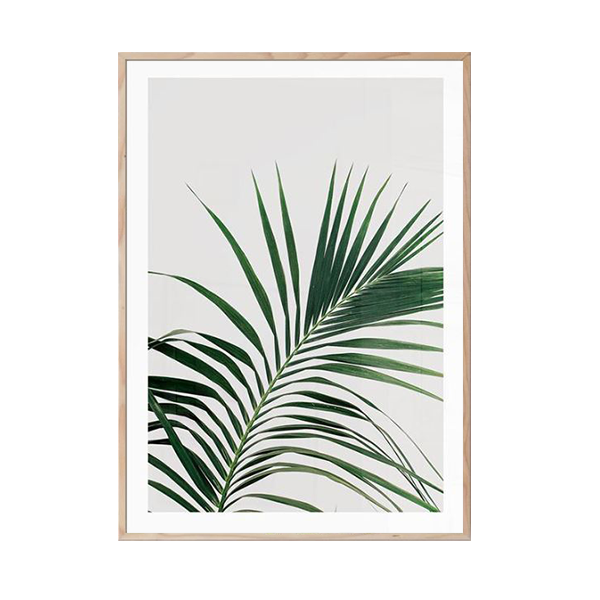 Khung ảnh gỗ treo tường Palm Leaf - Kích thước A3 (30x42cm)