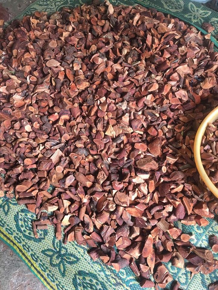 [HCM]COMBO 2KG Cây Mú Từn - CÙ BOONG NẬU