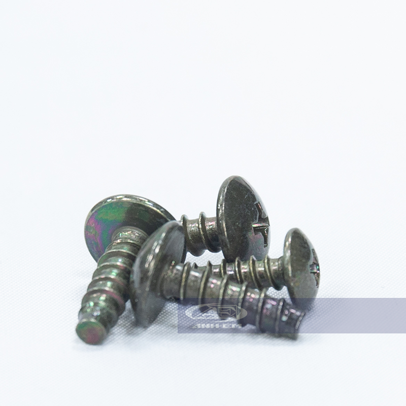 Ốc áo (RGV) - RGV120-0329