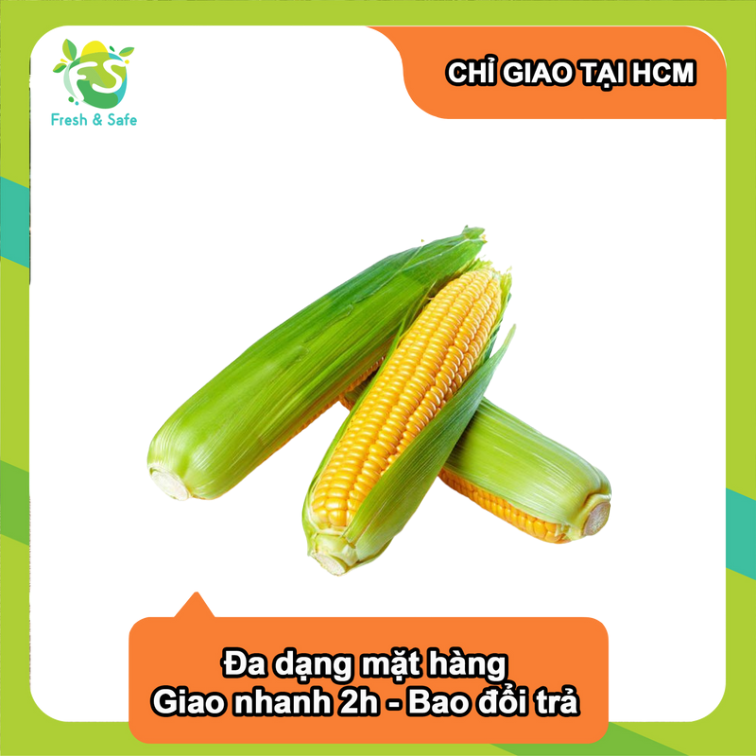 [Chỉ Giao HCM] Bắp Mỹ - 1 trái
