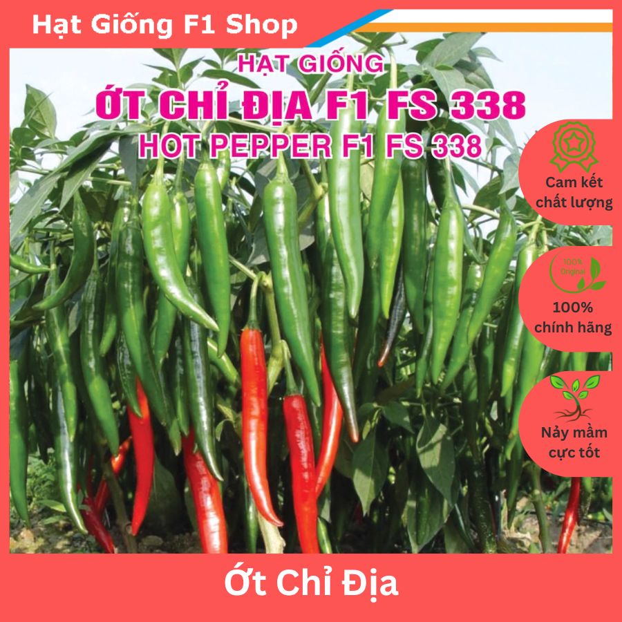 Hạt Giống Ớt Chỉ Địa Lai F1 Sai Trái
