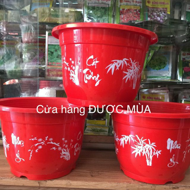 (bán sỉ)10 chậu in hoa 28x20cm