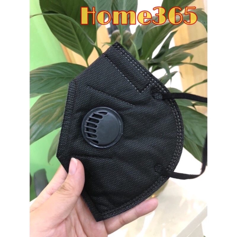 Hộp 10 chiếc khẩu trang N95-KN95 TOMODS