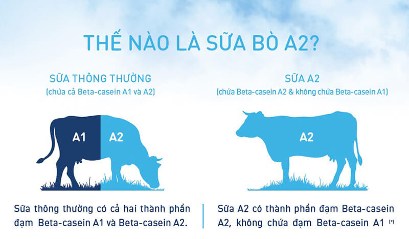 [Date 7.2024] Sữa A2 Nguyên Kem Úc Gói 1Kg