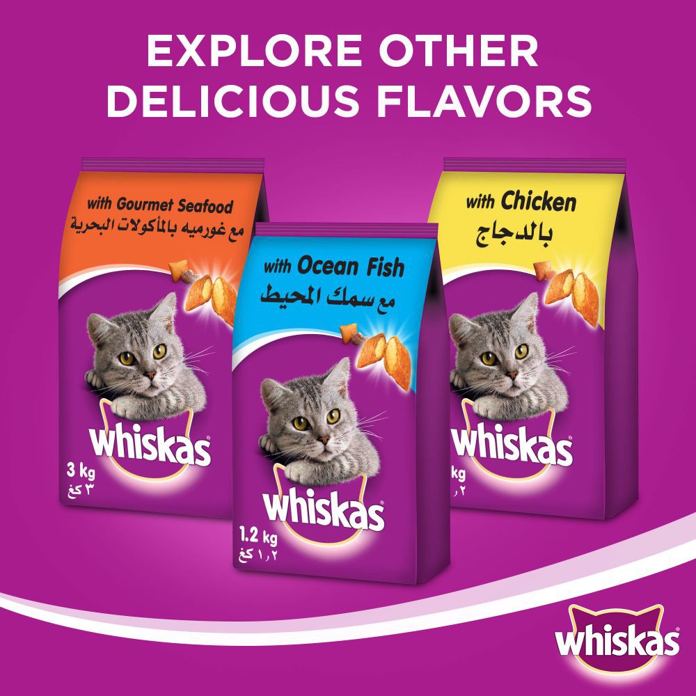 Thức Ăn Cho Mèo Con Whiskas - 1,1 Kg