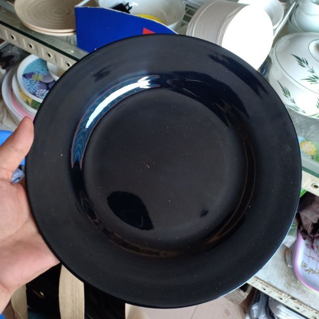 Đĩa nhựa tròn Song Long các cỡ, các màu