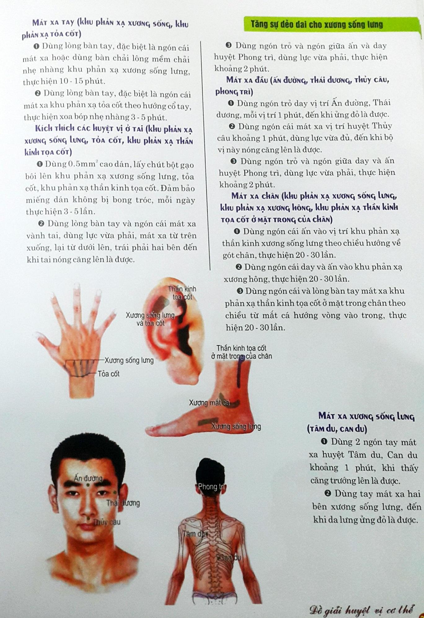 Đồ giải huyệt vị cơ thể
