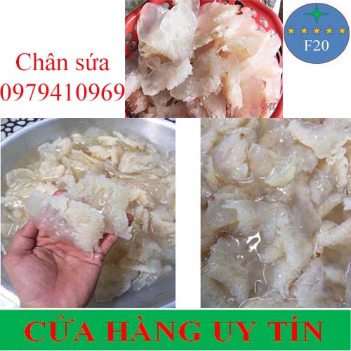 Chân sứa biển 500gr ngon tuyệt