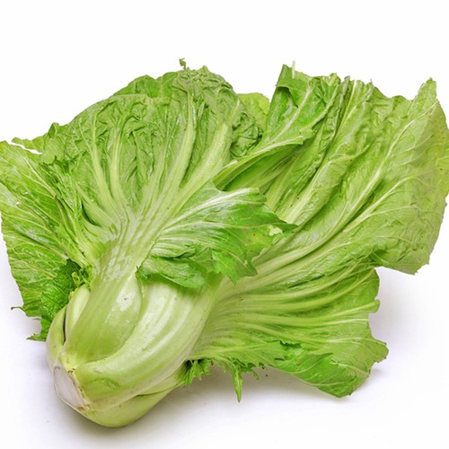 Hạt giống Cải Bẹ Dưa (Cải Bẹ Đông Dư) 10 gram.