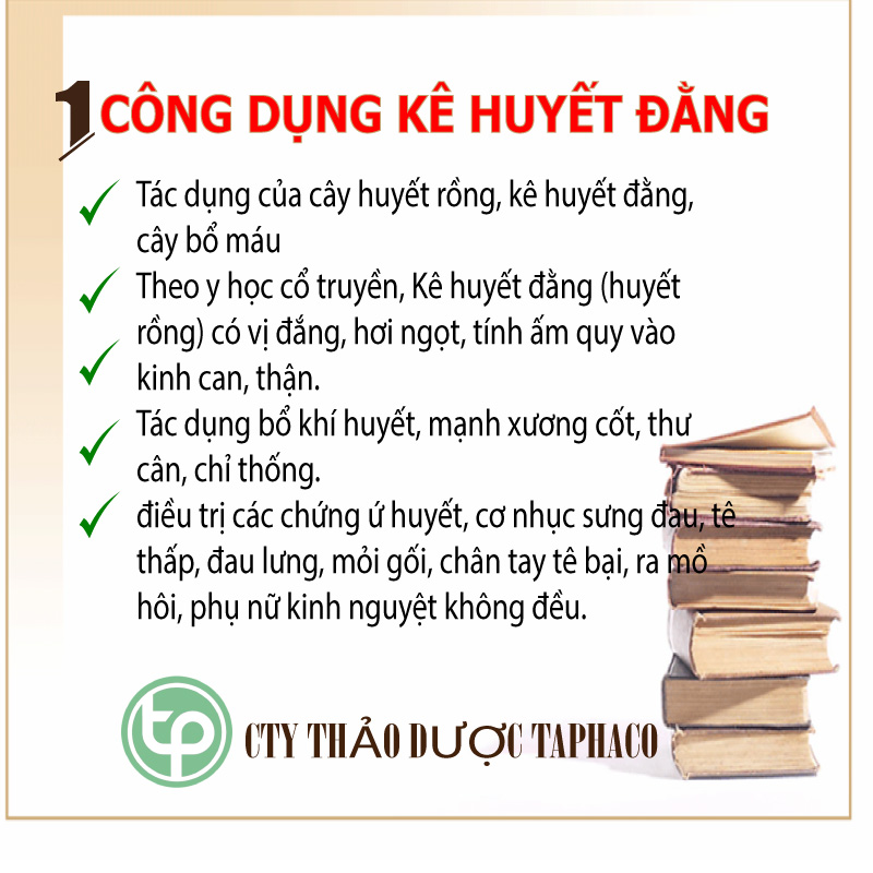 [Trà ngon bổ dưỡng]Kê huyết đằng khô 500g - Thảo Dược Tấn Phát
