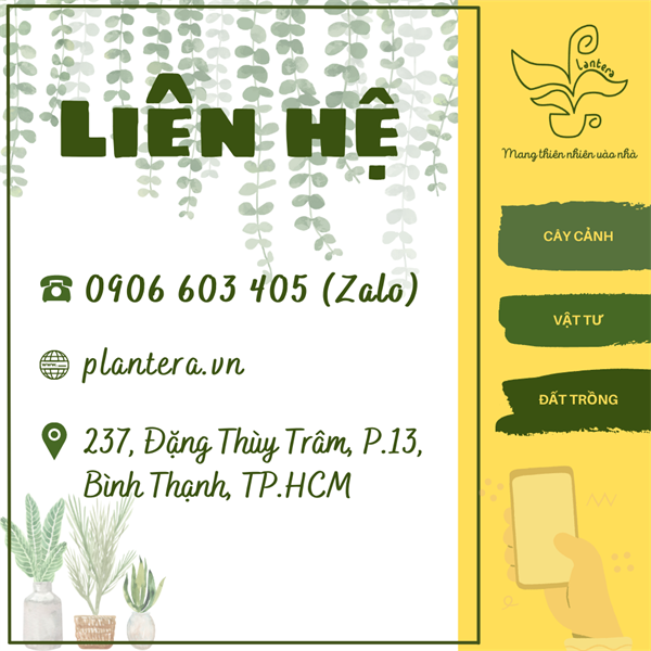 Phân Bò Xử Lý Lavamix 3Dm3 - Phân Hữu Cơ - Phân Dạng Bột - Phân Bò