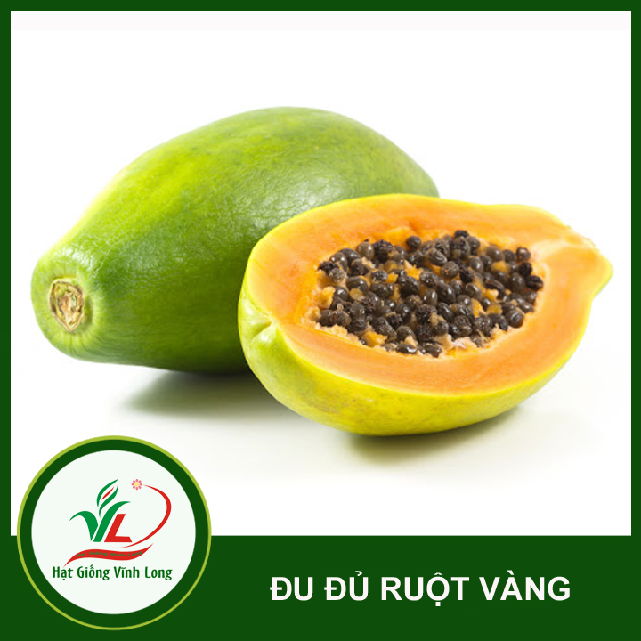 Hạt giống đu đủ ruột vàng Vĩnh Tường - 5 hạt