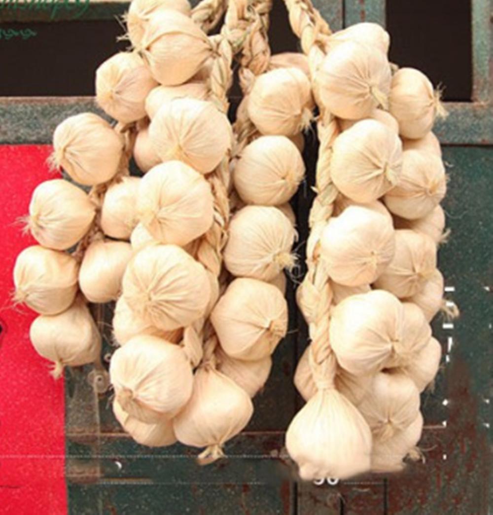 Dây hành củ tỏi giả trang trí