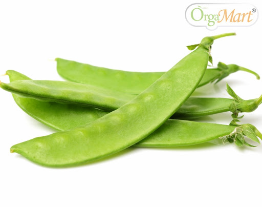 Hạt giống đậu hà lan thu trái Rạng Đông