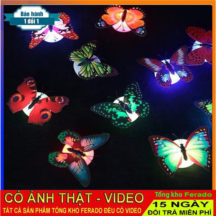 Đèn bướm led trang trí siêu đẹp