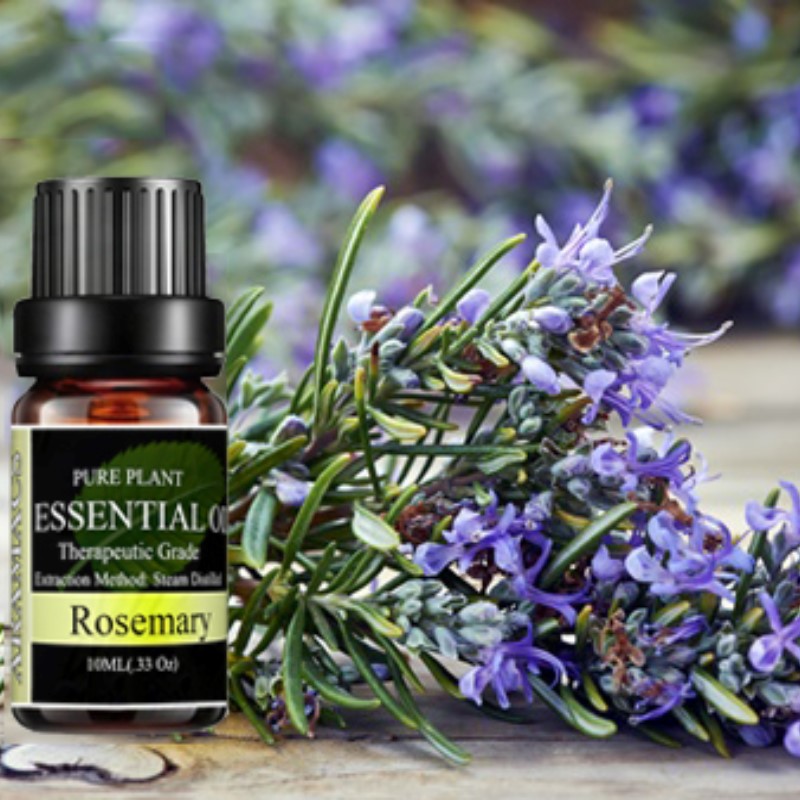Rosemary essential oil