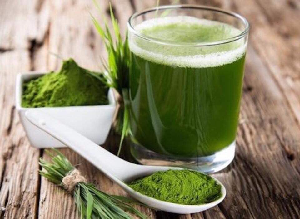Bột lúa non Nhật Bản