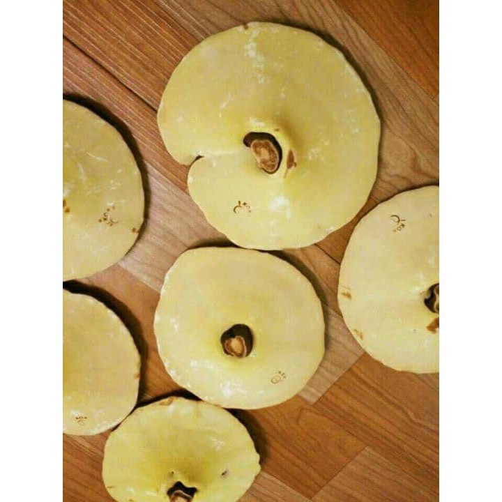 [HCM]Nấm linh chi vàng thơm Hàn Quốc túi 1kg