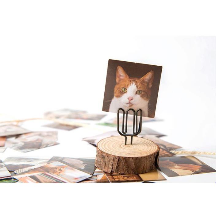 Bộ 46 Sticker Mèo Hàn Quốc dán trang trí E80