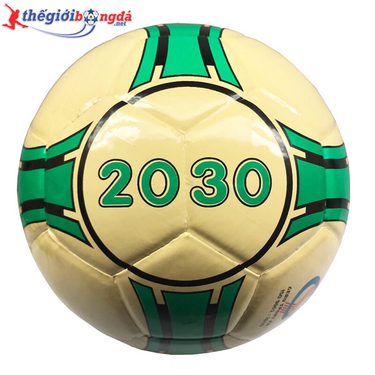 Quả Bóng đá Futsal Geru Sala 2030