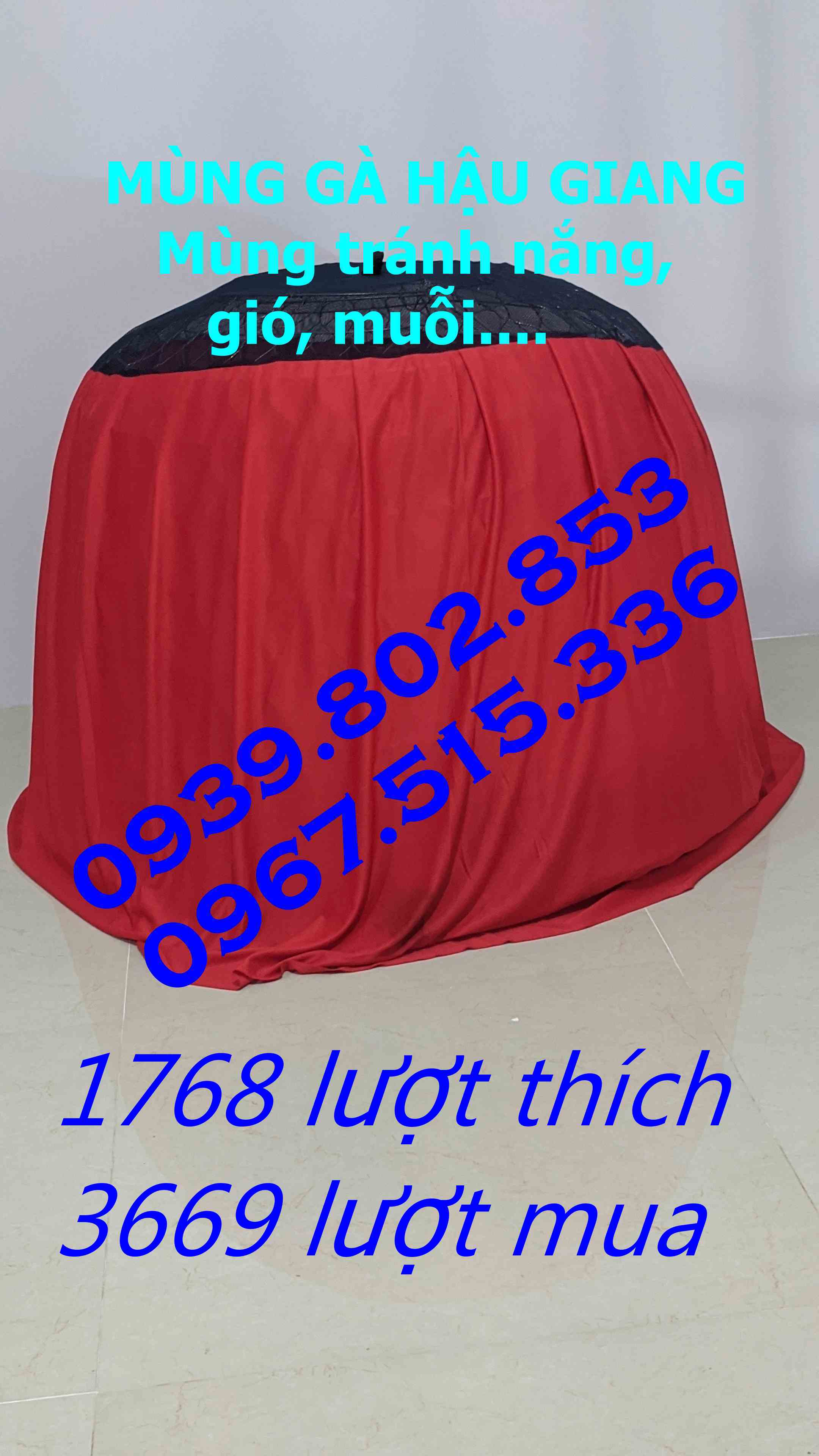 mùng trùm bội gà tre 90cm