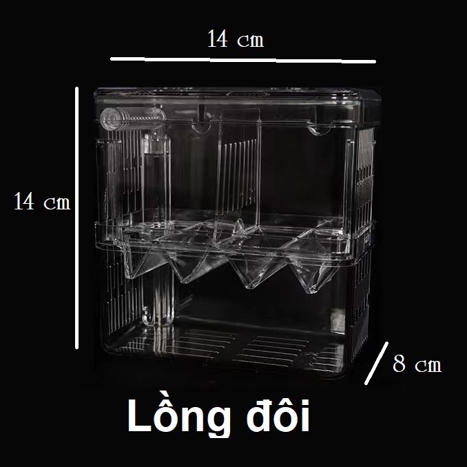 Bể cá betta mini 2 ngăn bằng nhựa - Hồ cá mini cho văn phòng