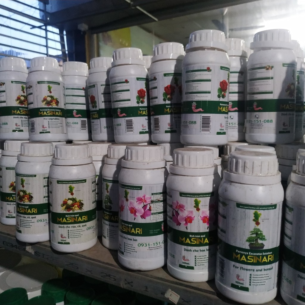 Dịch trùn quế Masinari chai 250 ml