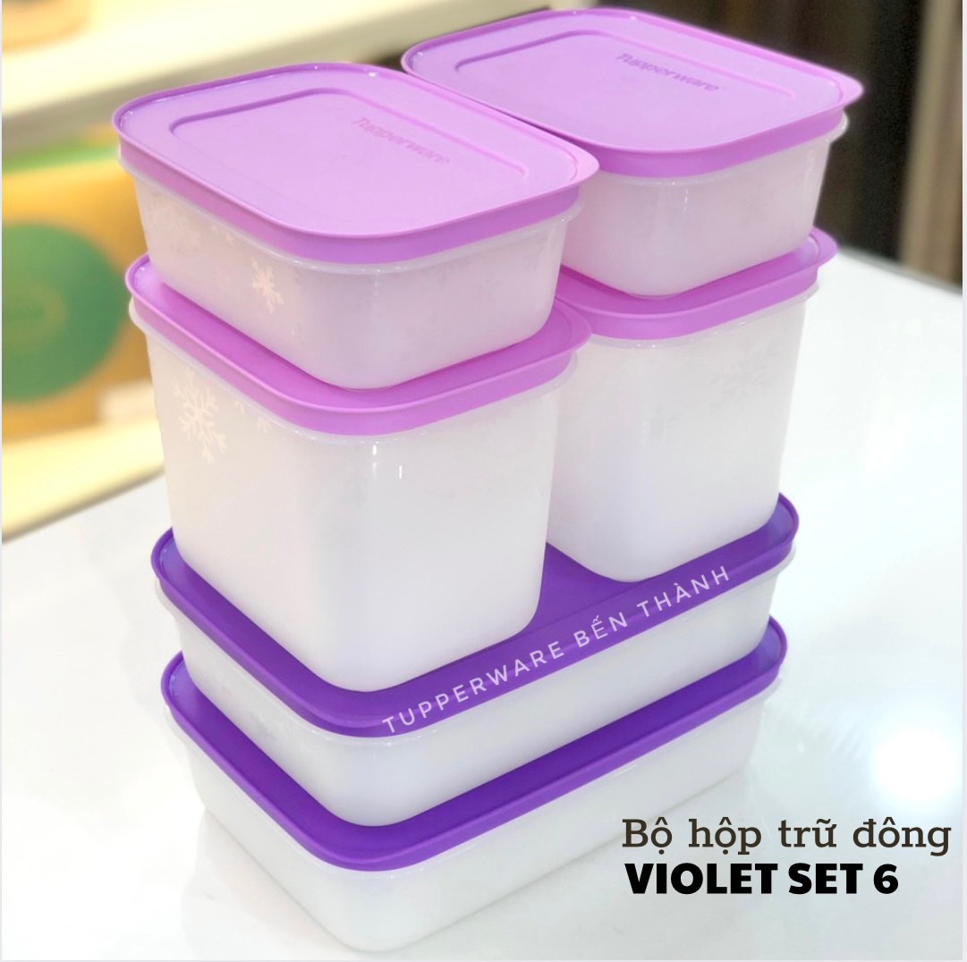 BỘ HỘP TRỮ ĐÔNG VIOLET SET 6