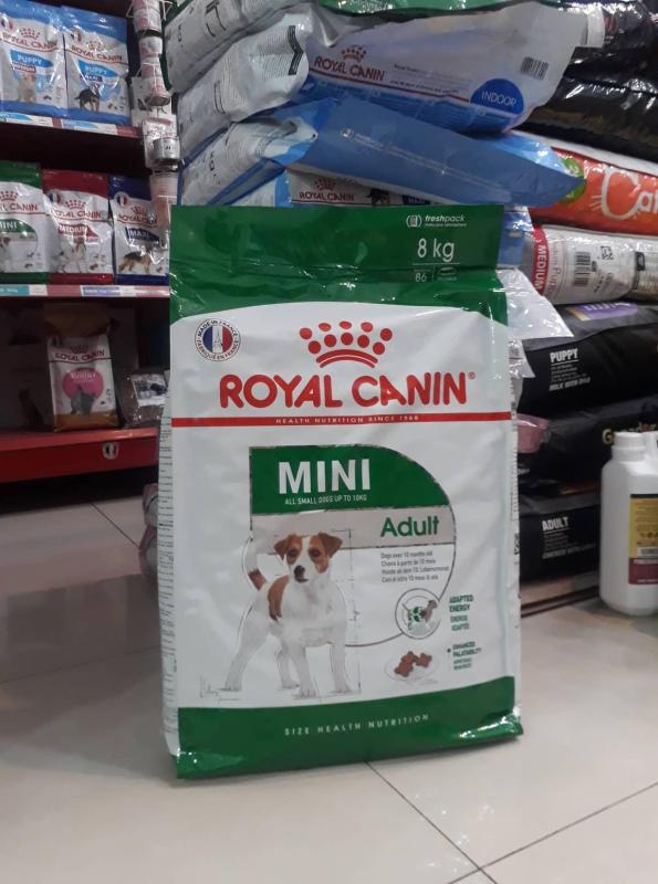 Thức ăn cho chó trưởng thành Royal Canin Mini Adult