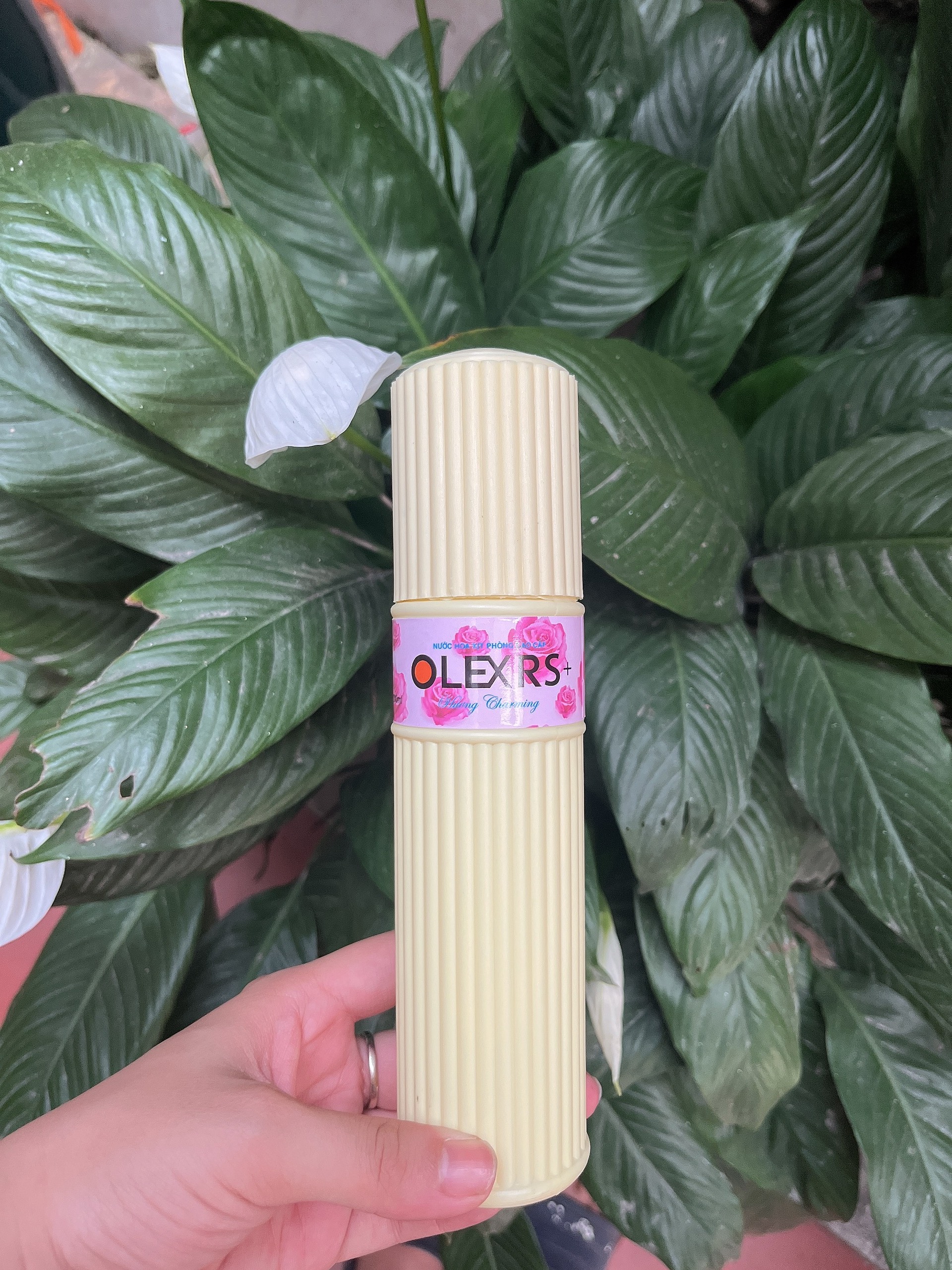 ⛔GIADUNGHOALONG⛔ Nước hoa xịt phòng (GIAO NGẪU NHIÊN)
