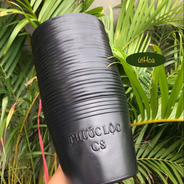 100 chậu nhựa đen c8 trồng cây, ươm cây (dày)