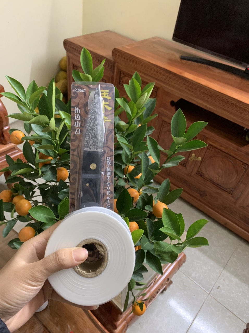 Dao và giấy ghép tự hủy - Dao ghép cây ăn quả, cây cảnh, bonsai